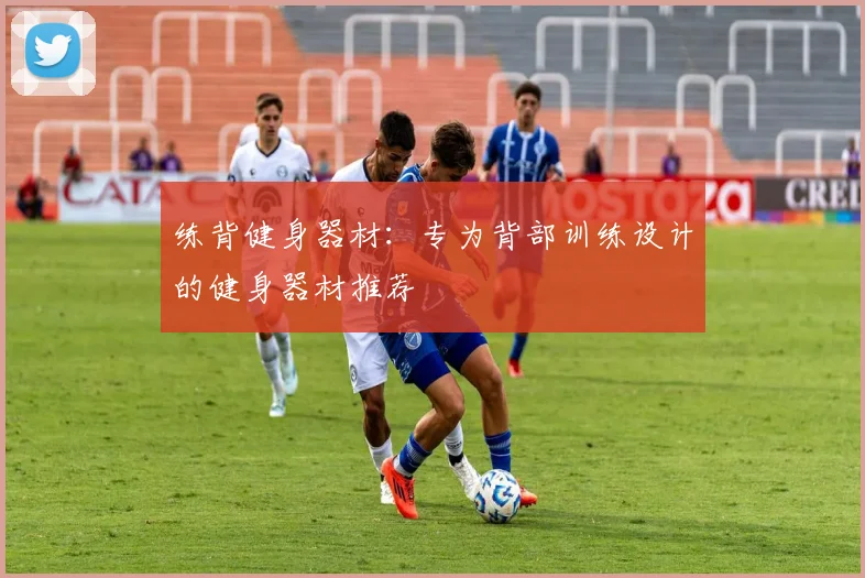 练背健身器材：专为背部训练设计的健身器材推荐